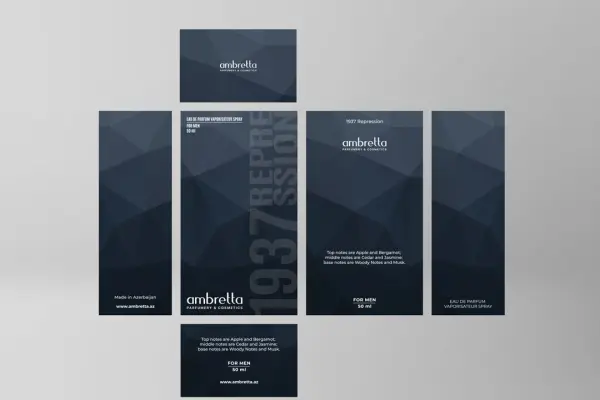 Modern and aesthetic packaging design for Ambretta company